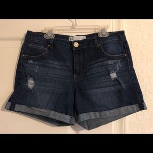 RSQ Hampton Denim Shorts